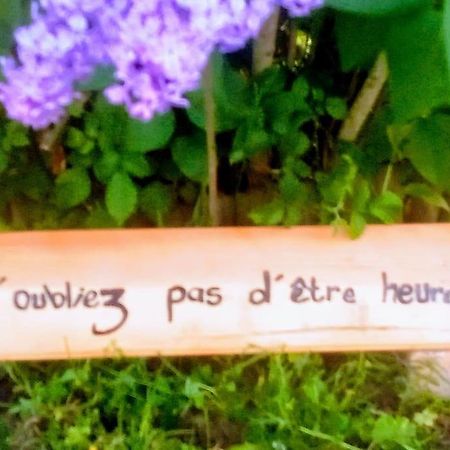Agreable Chalet En Bois Et Son Exterieur Massay 외부 사진
