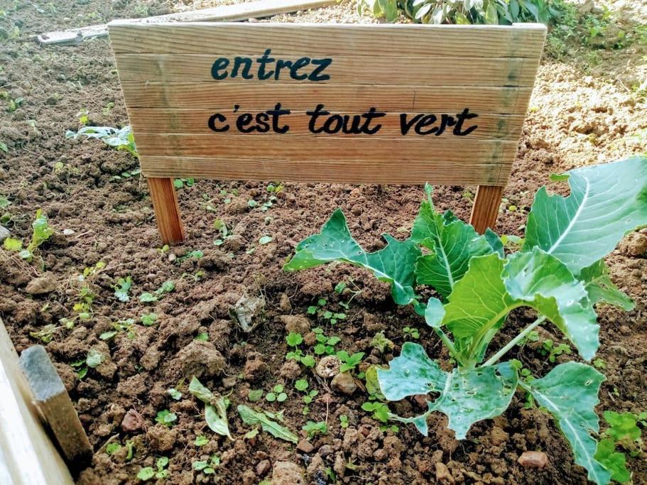 Agreable Chalet En Bois Et Son Exterieur Massay 외부 사진