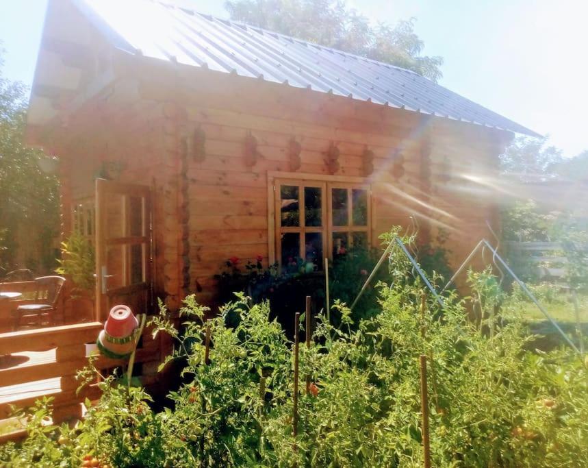 Agreable Chalet En Bois Et Son Exterieur Massay 외부 사진